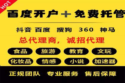真实案例解析：SEM代运营托管公司的优势与挑战